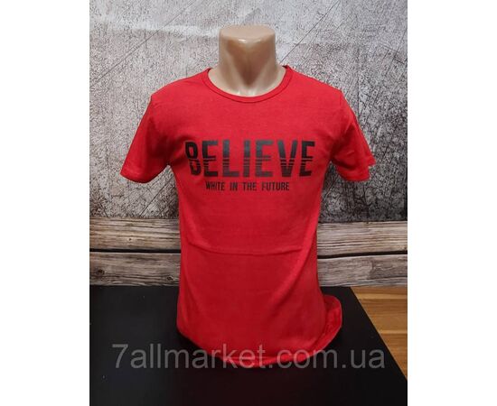 Фотография Футболка мужская BELIEVE р.M-2XL (3цв) "MODY" недорого оптом от прямого поставщика, изображение 3