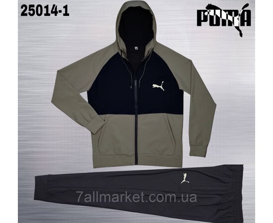 Фотография Спортивный мужской костюм на молнии Пума размеры  M-3XL (6цв) "REMAIN" купить недорого от прямого поставщика, изображение 6
