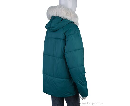 Куртка жіноча Весна/осінь 2276 (12043) green (5 шт. р.сіткаS-2XL) "Obuvok" недорого оптом від прямого постачальника, зображення 2