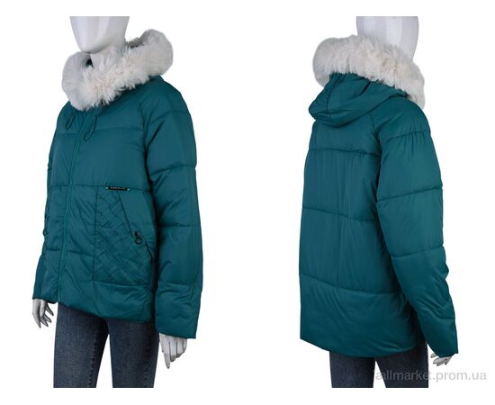 Куртка жіноча Весна/осінь 2276 (12043) green (5 шт. р.сіткаS-2XL) "Obuvok" недорого оптом від прямого постачальника, зображення 3